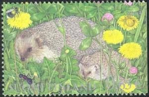 Colnect-583-423-European-hedgehog-Erinaceus-europaeus.jpg