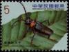 Colnect-3551-606-Beetle-Aphrodisium-faldermannii-yuagii-.jpg