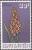 Colnect-1732-888-Disa-welwitschii.jpg