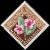 Colnect-2671-972-India-rubber-flower.jpg