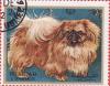 Colnect-1406-438-Pekingese-Dog-Canis-lupus-familiaris.jpg