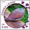 Colnect-3566-075-Sulawesi-Ground-Dove---Gallicolumba-tristigmata.jpg