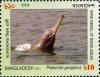 Colnect-5122-349-Ganges-River-Dolphin-Platanista-gangetica.jpg