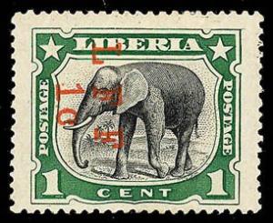 Colnect-1670-995-African-Elephant-Loxodonta-africana---Overprint-LFF-1c-inv.jpg