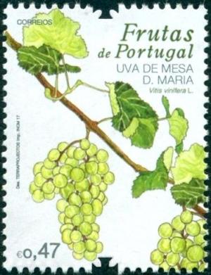 Colnect-3891-693-Dona-Maria-grape.jpg