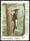Colnect-1420-750-Cuban-Ivory-billed-Woodpecker-Campephilus-principalis-baird.jpg