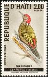 Colnect-3202-962-Hispaniolan-Woodpecker----Melanerpes-striatus.jpg