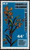 Colnect-853-902-Dendrobium-finetianum.jpg