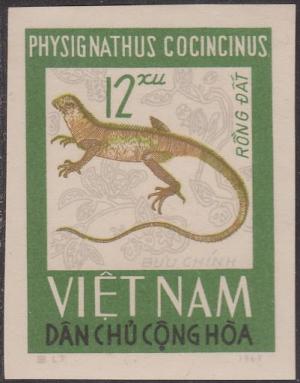 Colnect-1428-374-Chinese-Water-Dragon-Physignathus-cocincinus.jpg
