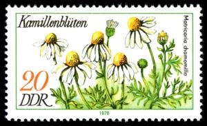 Stamps_of_Germany_%28DDR%29_1978%2C_MiNr_2289.jpg