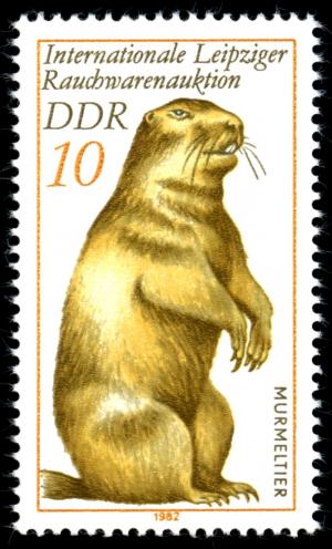 Stamps_of_Germany_%28DDR%29_1982%2C_MiNr_2677.jpg