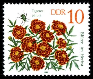 Stamps_of_Germany_%28DDR%29_1982%2C_MiNr_2738.jpg