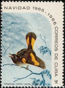 Colnect-2508-994-American-Redstart-Setophaga-ruticilla.jpg