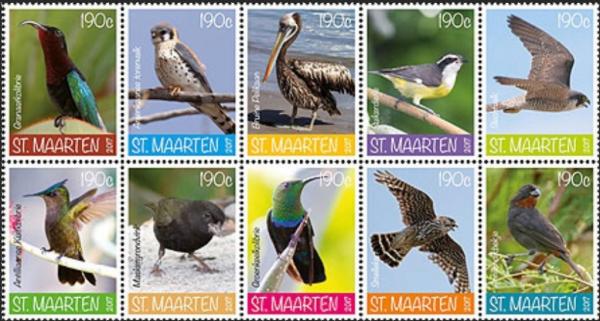 Colnect-4584-583-Birds-of-Sint-Maarten.jpg