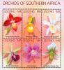 Colnect-1618-182-Orchids-of-Southern-Africa.jpg