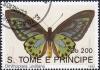 Colnect-2103-466-Urville--s-Birdwing-Ornithoptera-urvilliana.jpg