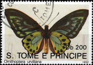 Colnect-4741-804-Urville-s-Birdwing-Ornithoptera-urvilliana.jpg