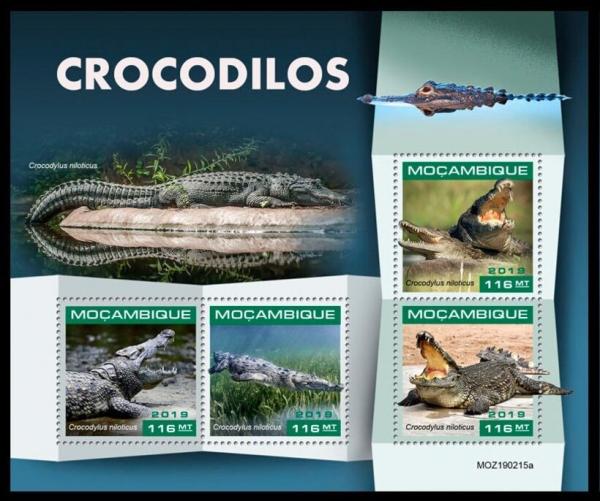 Colnect-6003-218-Nile-Crocodyle-Crocodylus-niloticus.jpg