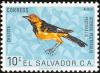 Colnect-1102-147-Spot-breasted-Oriole-Icterus-pectoralis.jpg