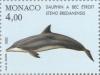 Colnect-149-538-Rough-toothed-Dolphin-Steno-bredanensis.jpg