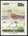 Colnect-1599-519-Bristle-thighed-Curlew-Numenius-tahitiensis.jpg