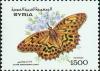 Colnect-1733-665-Silver-washed-Fritillary-Argynnis-paphia.jpg