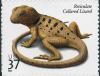 Colnect-202-171-Reticulate-Collared-Lizard-Crotaphytus-reticulatus.jpg