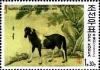 Colnect-2311-385-Piebald-Equus-ferus-caballus.jpg