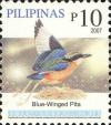 Colnect-2876-029-Blue-winged-Pitta-Pitta-moluccensis.jpg