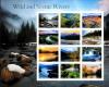 Colnect-5839-548-Wild-and-Scenic-Rivers.jpg
