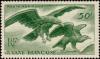 Colnect-812-230-Guiana-Crested-Eagle-Morphnus-guianensis-.jpg