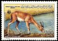 Colnect-1648-474-Slender-horned-Gazelle-Gazella-leptoceros.jpg