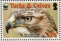 Colnect-1764-408-Red-tailed-Hawk-Buteo-jamaicensis.jpg