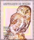 Colnect-868-386-Pearl-spotted-Owlet-Glaucidium-perlatum.jpg