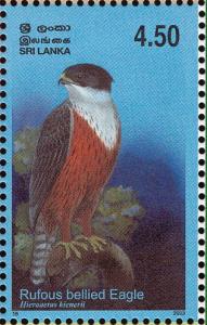 Colnect-2543-491-Rufous-bellied-Eagle-Hieraa%C3%ABtus-kienerii-.jpg