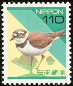 Colnect-590-096-Little-Ringed-Plover-Charadrius-dubius.jpg