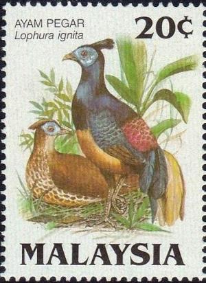 Colnect-1393-890-Protected-Birds--Lophura-ignita.jpg