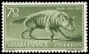 Colnect-1399-384-Striped-Hyena-Hyaena-hyaena.jpg