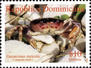 Colnect-1610-833-Purple-Land-Crab-Gecarcinus-ruricola.jpg