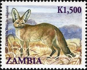 Colnect-2671-185-Bat-eared-Fox-Otocyon-megalotis.jpg
