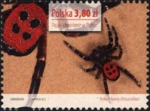 Colnect-3128-279-Ladybird-Spider-Eresus-kollari.jpg