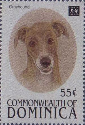 Colnect-3198-163-Greyhound-Canis-lupus-familiaris.jpg