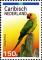 Colnect-2507-882-Brown-throated-Parakeet-Aratinga-pertinax.jpg