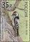 Colnect-4724-120-Lesser-spotted-woodpecker-Dryobates-minor.jpg