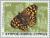 Colnect-175-547-Speckled-Wood-Pararge-aegeria.jpg