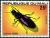 Colnect-2223-501-Ground-Beetle-Calosoma-sp.jpg