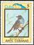 Colnect-3564-326-Red-legged-Thrush%C2%A0Turdus-plumbeus.jpg