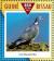 Colnect-3984-548-Common-Wood-Pigeon-Columba-palumbus.jpg