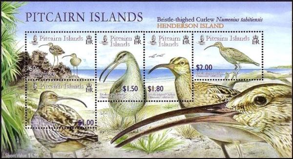 Colnect-2517-365-Bristle-thighed-Curlew-Numenius-tahitiensis.jpg
