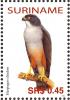 Colnect-3837-058-Rufous-thighed-Kite%C2%A0%C2%A0%C2%A0%C2%A0Harpagus-diodon.jpg